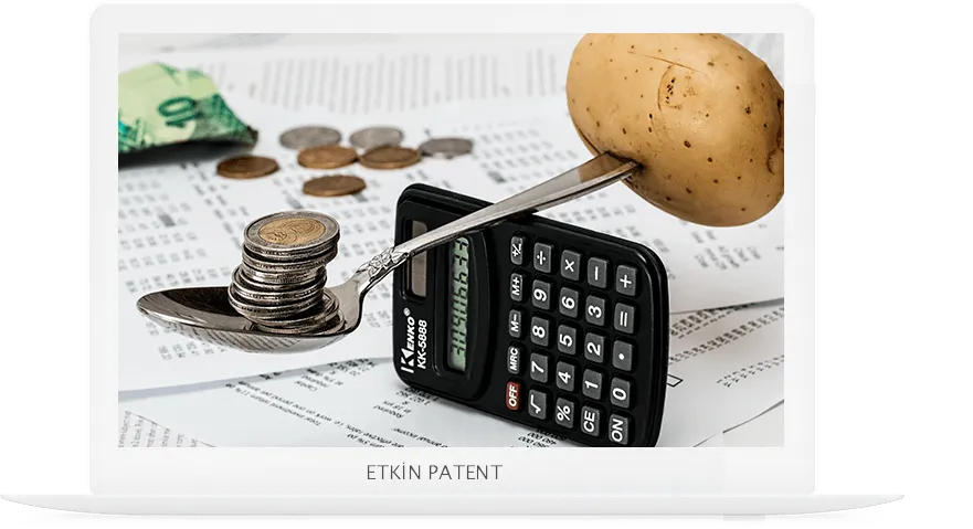 finansal davranışlara dair kombinasyon modeller-Eskisehir patent